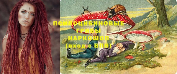 амф Зерноград