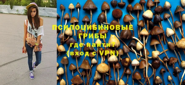 амф Зерноград