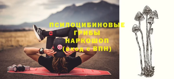 винт Зеленокумск