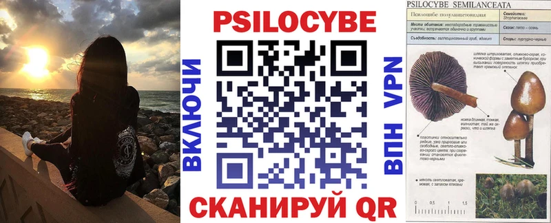 Купить Серов Псилоцибиновые грибы Psilocybine cubensis